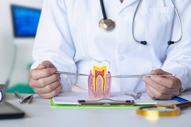 Best Cracked Tooth Emergency Dentist  in Potterville, MI